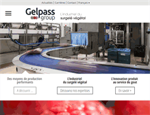 Tablet Screenshot of gelpassgroup.com